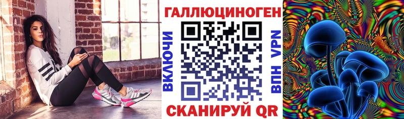 Псилоцибиновые грибы Psilocybine cubensis  Купить закладки  Могоча 