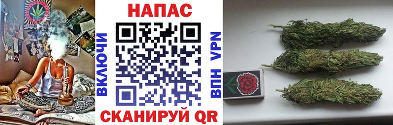 Бошки марихуана индика  Купить  Могоча 